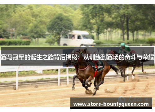 赛马冠军的诞生之路背后揭秘:从训练到赛场的奋斗与荣耀 赛马冠军的诞生之路背后揭秘:从训练到赛场的奋斗与荣耀