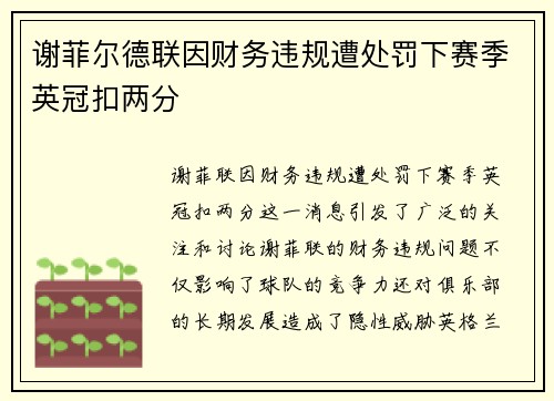 谢菲尔德联因财务违规遭处罚下赛季英冠扣两分